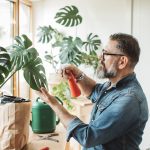 Your guide to decorating with large indoor trees and plants